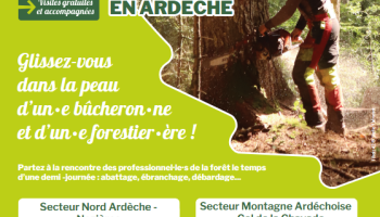 affiche vis ma vie de bûcheron