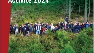 rapport activité 2024