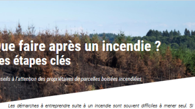 que faire aprés un incendie