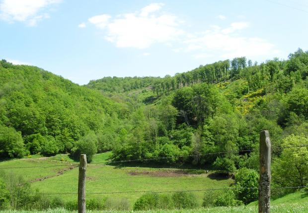 paysage cantal