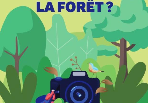 affiche concours photos