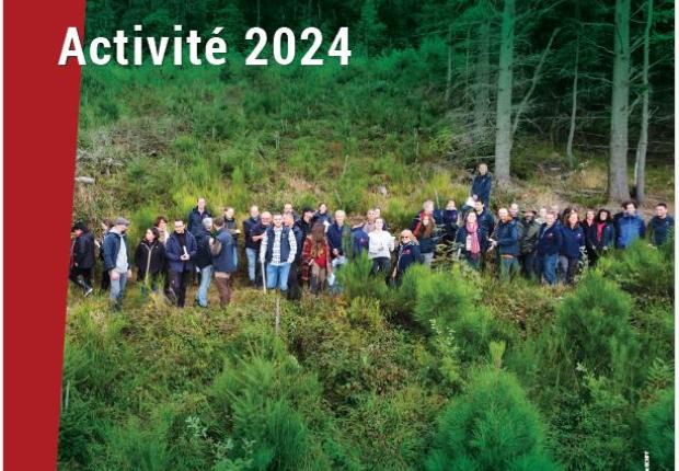 rapport activité 2024