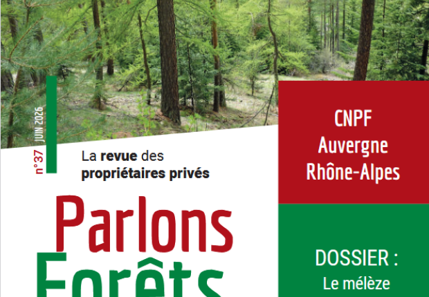 PF Mélèze