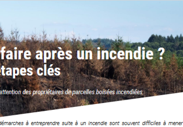 que faire aprés un incendie