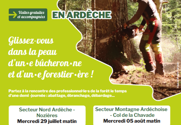 affiche vis ma vie de bûcheron