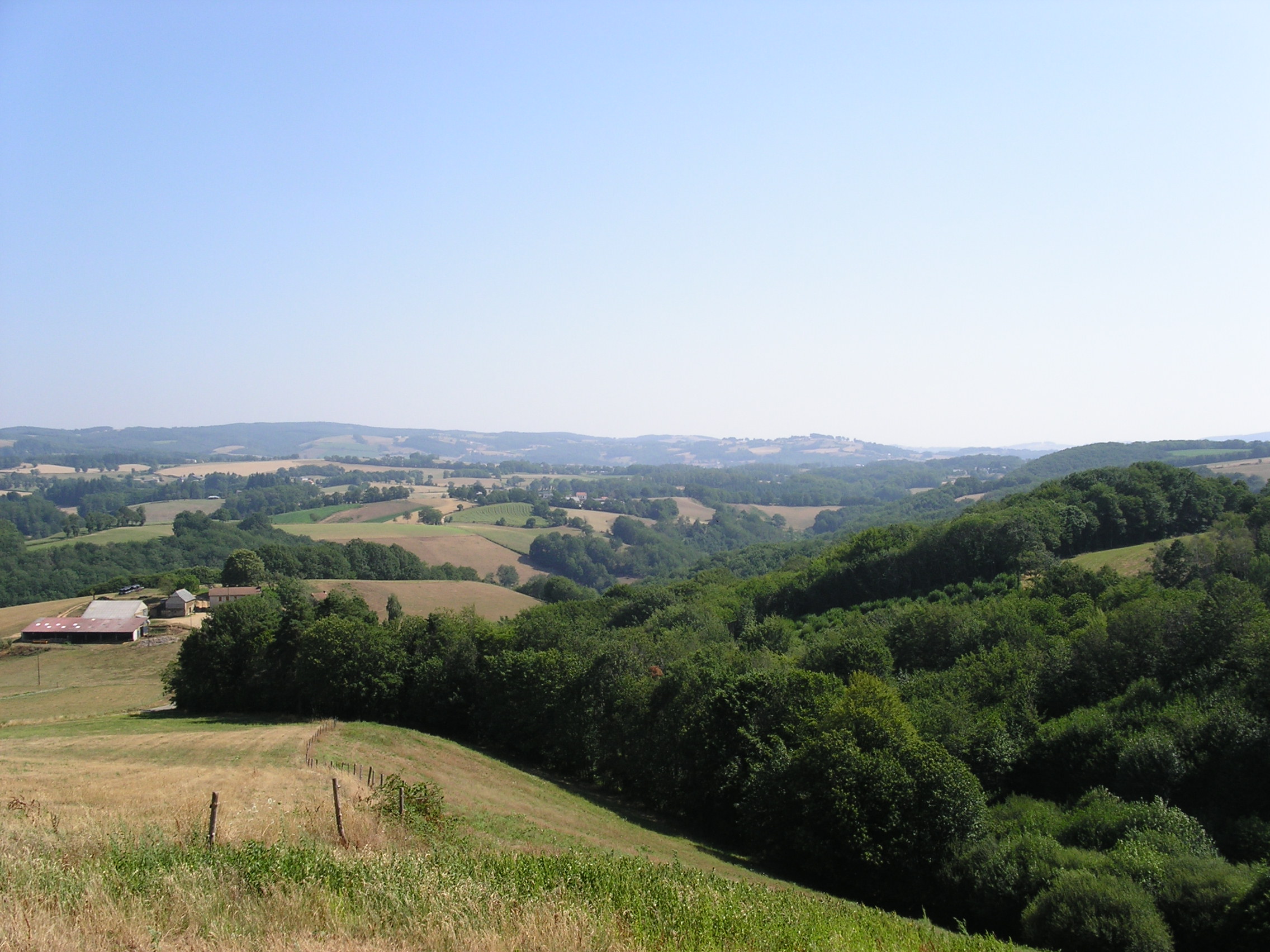 Forêt du Cantal - Isabelle Pacaut - CRPF AURA © CNPF